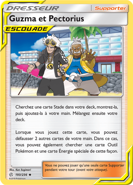 CARTE POKEMON